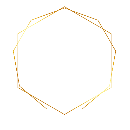 GondaMusic Band és GondaMusic Produkció, Gonda László koncert fellépések